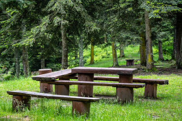 a resting area in the forest, a table and benches made of wood. - Fotoğraf, Görsel