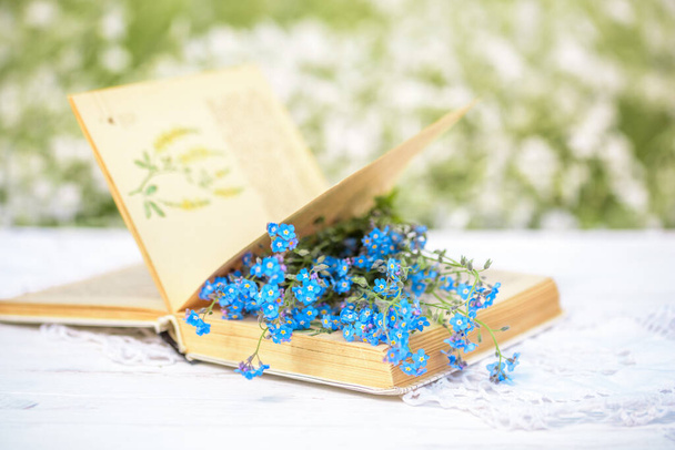 Open vintage book, blue forget-me-not flowers on wooden table, cozy morning in the village, sunny summer, holidays.Book of Batanica. - Foto, immagini