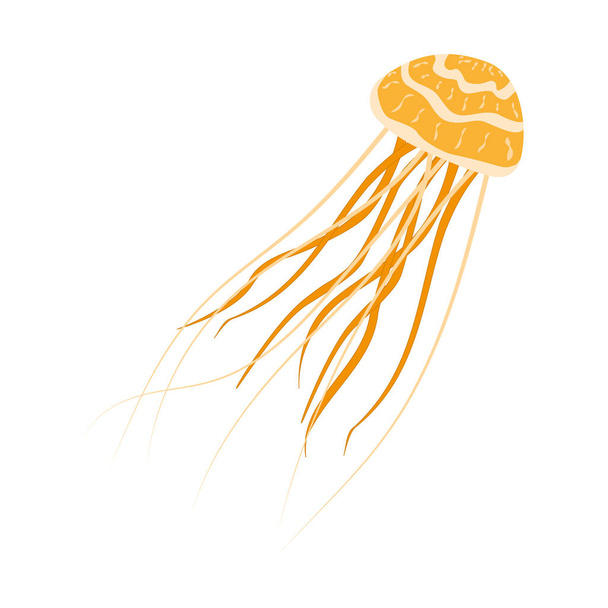 Medúza hosszú csápokkal, fehér alapon elszigetelve. Sárga medúza, gyönyörű mintával és rugalmas csápokkal. EPS10 kórokozó-átvivő. - Vektor, kép