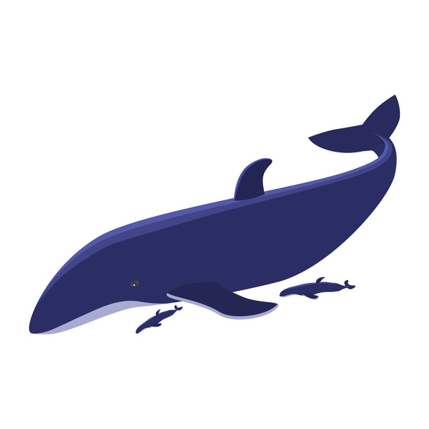 Big blue whale with two whale cubs isolated on white. The largest marine mammal. Curled tail and large fins. Vector EPS10. - Vector, Image