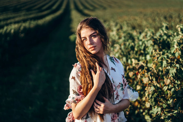 beautiful woman with long curly hair and freckles face on currant field background. Girl in a light dress walks in the summer sunny day. - Fotoğraf, Görsel