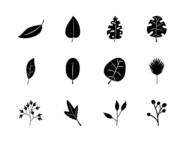 φύλλα φοίνικα και τροπικά φύλλα σύνολο εικονίδιο, στυλ σιλουέτα - Διάνυσμα, εικόνα