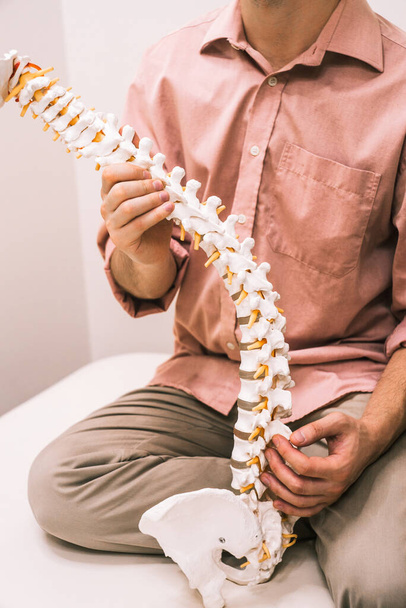 homme tient un modèle d'une colonne vertébrale humaine dans ses mains, l'ostéopathie - Photo, image