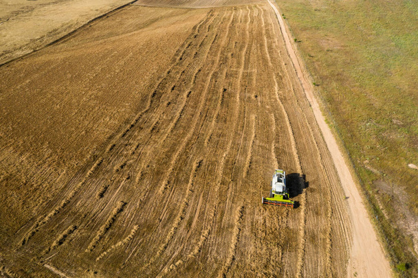 Combine la cosechadora que trabaja cortando y cosechando el campo del trigo, los cereales del invierno, la alfalfa, la hierba, el forraje verde, el heno, en un paisaje soleado en una mañana caliente de junio. Imagen del dron
 - Foto, Imagen