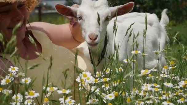 Adorable joven mujer sonriendo besos lindo blanco cabra niño.  - Metraje, vídeo