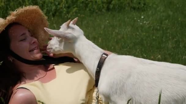 Adorable Young Woman Smiling Kissing Cute White Goat Kid.  - Footage, Video