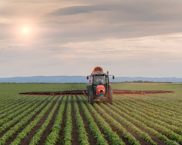 Τρακτέρ ψεκασμού φυτοφαρμάκων σε αγρούς σπόρων σόγιας - Φωτογραφία, εικόνα