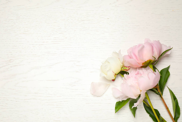 Beautiful blooming peonies on white wooden table, flat lay. Space for text - Foto, Bild