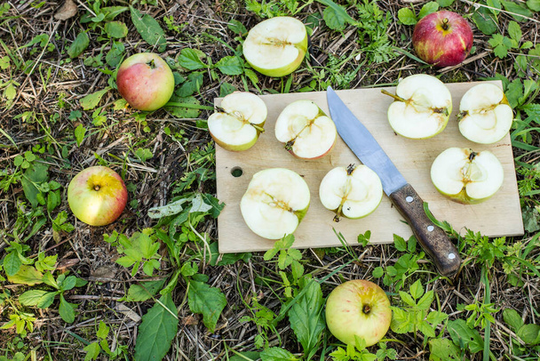 Свежие яблоки, вырезанные на доске ножом на зеленой траве в саду
 - Фото, изображение