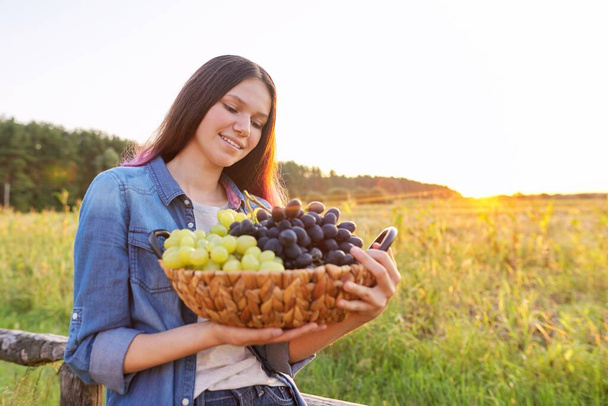 Młoda kobieta z koszem zbiorów winogron niebieskich i zielonych - Zdjęcie, obraz