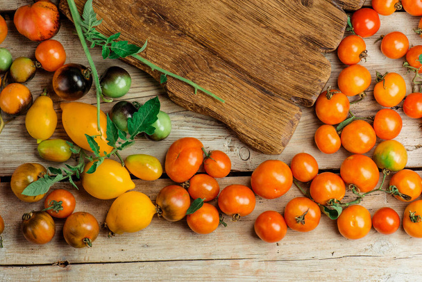 Die Ernte der Mischtomaten. Verschiedene bunte Tomaten. Tomaten sind verschiedene Sorten. Tomaten mischen - Foto, Bild
