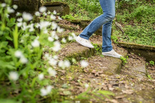 Dívka kráčí po starých schodech zarostlých mechem a trávou v lesoparku. V popředí jsou rozmazané bílé květy. - Fotografie, Obrázek