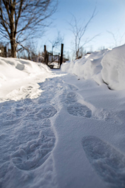 Ścieżka wolna od śniegu ze śladami stóp prowadzi do starej chwiejnej bramki i płotu wśród zaspy śnieżnej, przeciwko błękitnemu niebu w słoneczny mroźny dzień, na wsi. - Zdjęcie, obraz
