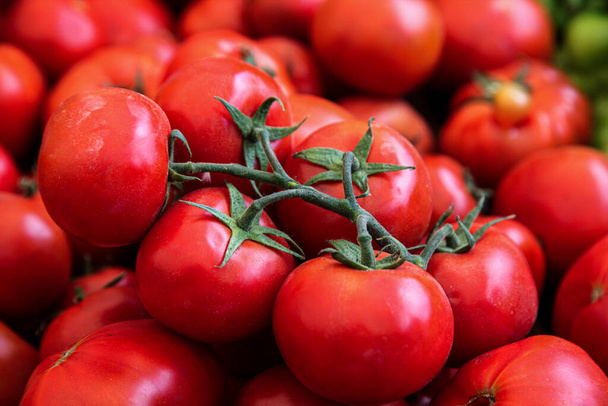 Красные помидоры на зеленой ветке
 - Фото, изображение
