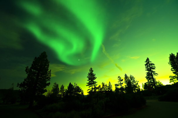 Severní polární záře, aurora borealis - Fotografie, Obrázek