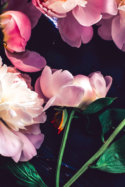 Rózsaszín bazsarózsa virágok, mint virágos művészeti háttér, botanikai lapos és luxus márka - Fotó, kép
