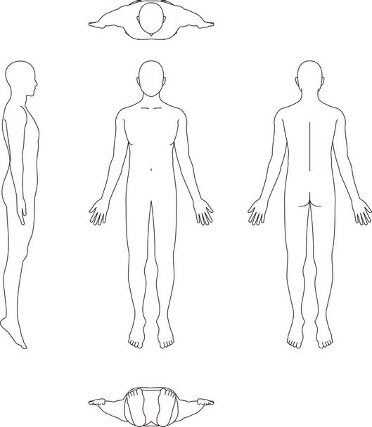 Illustrazione del corpo umano Schizzo maschile - Vettoriali, immagini