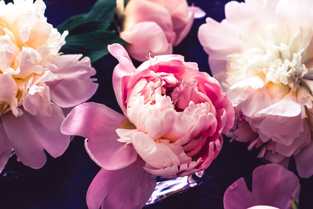Ροζ παιώνια λουλούδια ως φόντο floral τέχνη, βοτανική flatlay και branding πολυτέλεια - Φωτογραφία, εικόνα