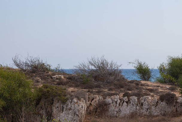 Skalnatá pláž Středozemního moře v Ayia Napa, Kypr. Přírodní kamenné útvary a suché keře. - Fotografie, Obrázek