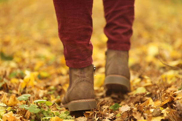 À l'automne. jambes en bottes en daim marron sur fond de feuilles jaunes floues - Photo, image