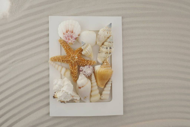 nyári témájú mock up kagylók, strand koncepció háttér - Fotó, kép