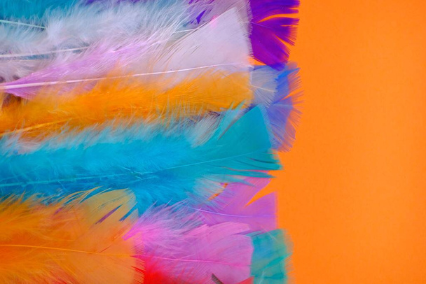 Fondo de plumas. plumas multicolores sobre un fondo naranja brillante
 - Foto, Imagen