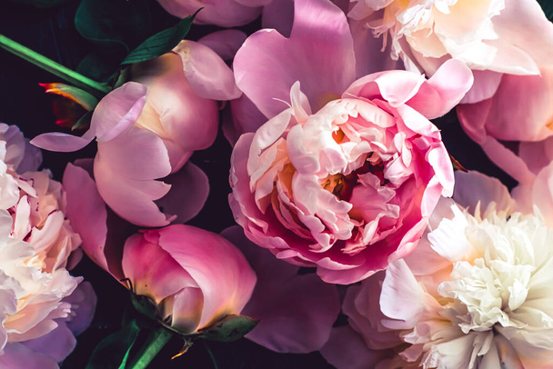 Pink peony flowers as floral art background, botanical flatlay and luxury branding - Foto, afbeelding