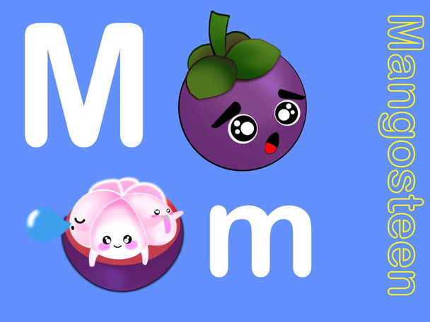Aranyos ábécé betű M a mangosztán gyümölcsök és zöldségek flashcard gyűjtemény óvodás gyerek tanulás angol szókincs  - Fotó, kép