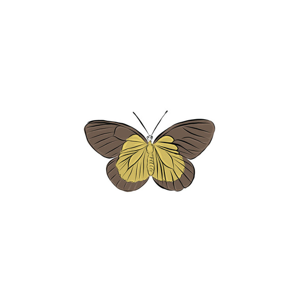  Fliegender Schmetterling. Vintage realistische bunte Insekt auf weißem Hintergrund. Elegante Naturdekoration. Sommerliche Dekoration. - Vektor, Bild