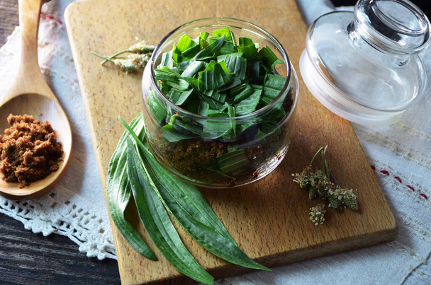 Un frasco lleno de hojas frescas de lombriz (Plantago lanceolata), y azúcar, para preparar jarabe casero contra la tos
 - Foto, Imagen