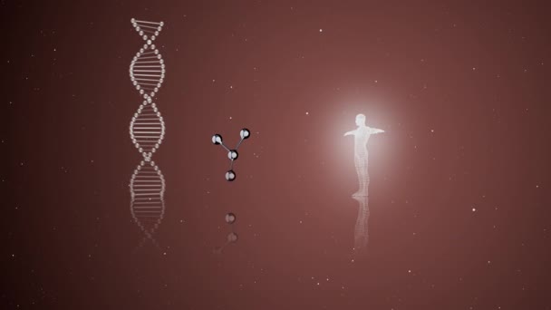 Professionelle Analyse von DNA-Struktur, Genen und genetischen Störungen, Wissenschaft. DNA-Strang-Molekül mit menschlichem Hologramm leuchtet auf dunklem Bildschirm. - Filmmaterial, Video