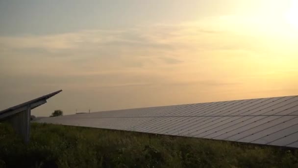 太陽電池パネルは日没時に地面に列に並んで立っている。家のための無料電気。地球の持続可能性。緑のエネルギー。太陽電池発電事業。生態系のクリーンエネルギー。地上の青いパネル. - 映像、動画