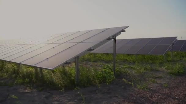 Sonnenkollektoren stehen reihenweise auf dem Boden. Kostenloser Strom für zu Hause. Nachhaltigkeit des Planeten. Grüne Energie. Solarzellen treiben das Geschäft mit Kraftwerken an. Ökologische saubere Energie. Blaue Tafeln am Boden. - Filmmaterial, Video