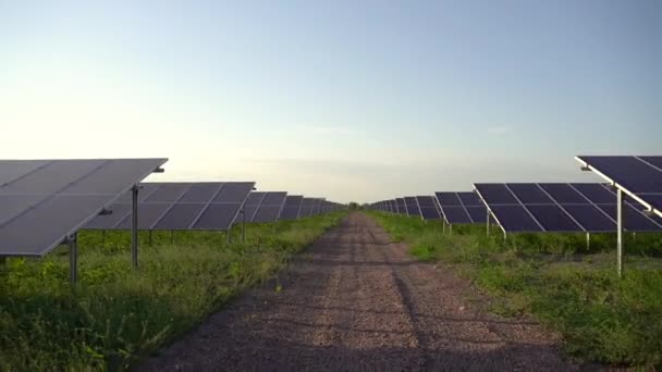 太陽電池パネルは地面に列に並んで立っている。家のための無料電気。地球の持続可能性。緑のエネルギー。太陽電池発電事業。生態系のクリーンエネルギー。地上の青いパネル. - 映像、動画