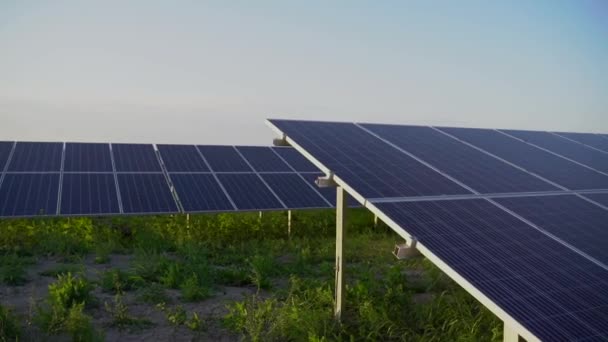 地上の太陽電池パネル。家のための無料電気。地球の持続可能性。家のためのグリーンエネルギー。太陽電池発電事業。生態系のクリーンエネルギー。地上の青いパネル. - 映像、動画