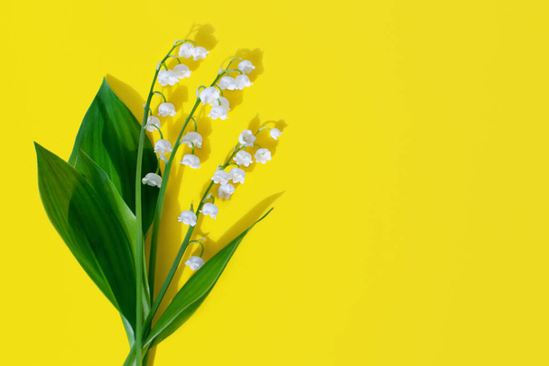 Λευκό κρίνο της κοιλάδας λουλούδια, πράσινα φύλλα, κίτρινο φόντο closeup, όμορφη μπορεί κρίνο λουλούδι μπουκέτο, convallaria majalis, άνοιξη ή καλοκαίρι floral σχεδιασμό, φωτεινό ευχετήρια κάρτα, κείμενο αντίγραφο χώρο - Φωτογραφία, εικόνα