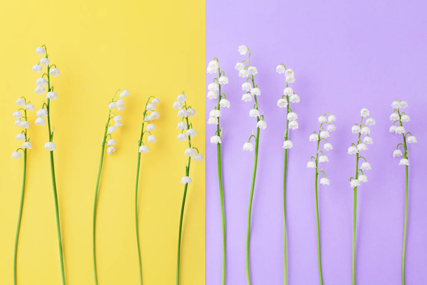 Белая лилия долины цветы на желтом и фиолетовом фоне вблизи, деликатный может цветок лилии, convallaria Majalis, красивая весна или лето цветочный дизайн, открытка искусства, свадебное приглашение
 - Фото, изображение