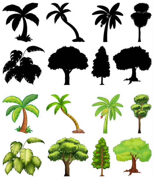 Set di piante e alberi con la sua illustrazione silhouette - Vettoriali, immagini