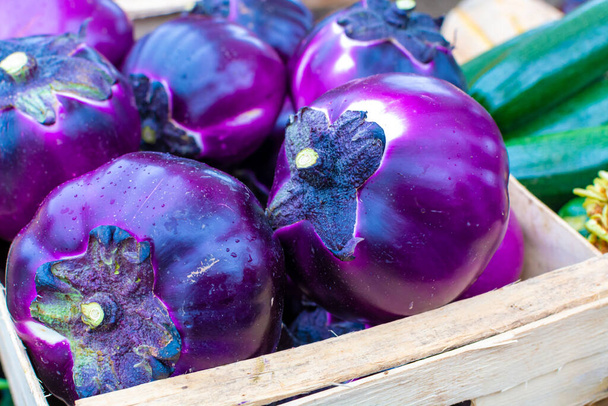 Νέα συγκομιδή νόστιμα Σικελίας γύρο Viola μελιτζάνες λαχανικά στην αγορά κοντά - Φωτογραφία, εικόνα