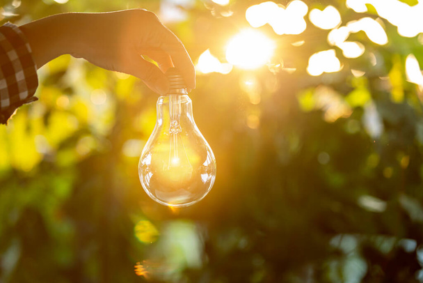 hand holding light bulb against nature, icons energy sources for renewable, - Фото, зображення