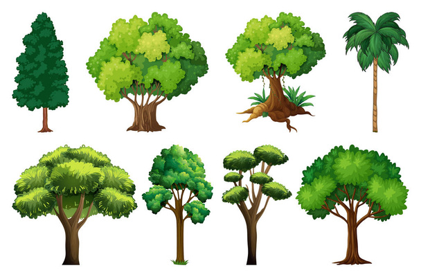 Σύνολο των φυτών ποικιλία και τα δέντρα εικονογράφηση - Διάνυσμα, εικόνα