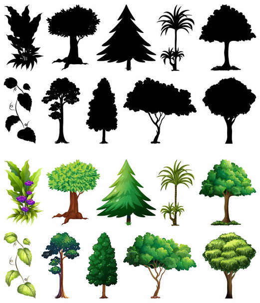 Set aus Pflanze und Baum mit Silhouetten-Illustration - Vektor, Bild