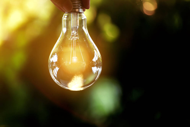 hand holding light bulb against nature, icons energy sources for renewable, - Photo, Image