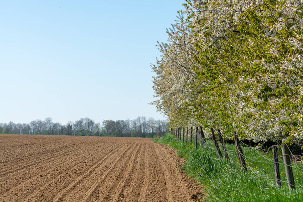 Весенний пейзаж с пашнями, зеленой травой, фруктовыми деревьями и голубым небом, природный фон
 - Фото, изображение