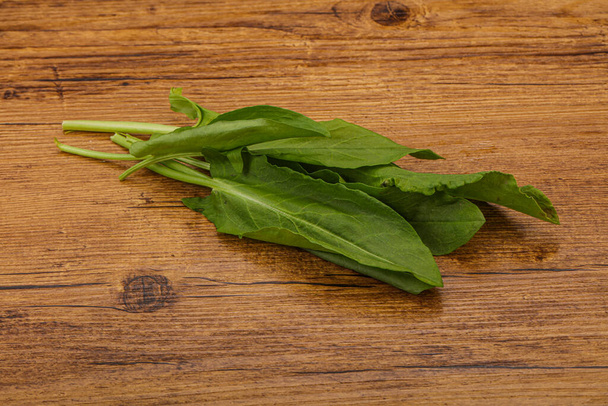 Άρωμα Φρέσκος πράσινος σωρός από βότανα - Φωτογραφία, εικόνα