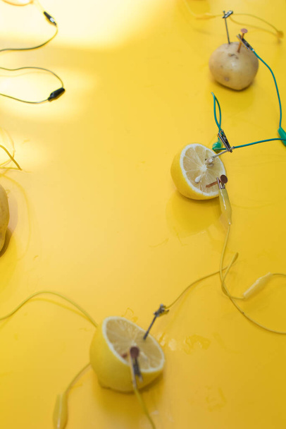 Картофельная батарея STEM активность с картофелем, лимонами, аллигаторами, цинком и медными ногтями. Натуральный аккумулятор для включения проводки. научный эксперимент для детей по электричеству на желтом фоне
 - Фото, изображение