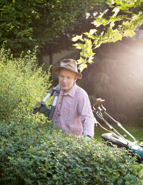 Porträt eines müden Mannes mit Gartenschere, der neben einer Hecke mit Rasenmäher im Hintergrund steht. Pflege der Pflanzen - Foto, Bild