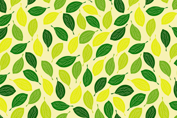 Patrón sin costura vector de albahaca fresca sobre fondo de limón brillante. Dibujado a mano doodle follaje ilustración para el diseño de impresión, papel pintado, papel de envolver, cubierta, menú
 - Vector, imagen