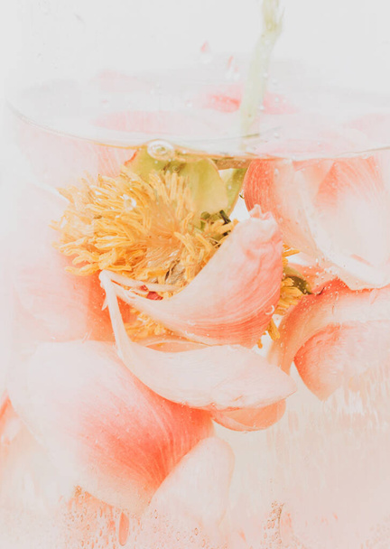 A bazsarózsa szirmok vízbe merülnek, légcseppekkel átlátszó üvegvázában. Absztrakt rózsaszín-fehér háttér. Művészet és esztétika, kreatív fotó. Gyönyörű virág a víz alatt. - Fotó, kép