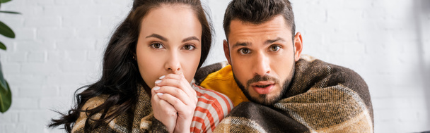 Panoramic crop of young couple looking at camera while wrapping in plaid at home  - Foto, Imagem